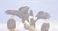 Desktop Screenshot of jimcoda.com
